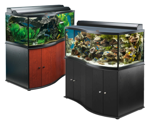 Annoteren Vlekkeloos roterend Choose Your Aquarium | Crystal Clean Aquariums | CT Aquarium & Fish Tank  Experts Serving All Of Connecticut & Western MA