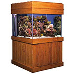 150 Gallon Deluxe Pine Majesty Stand - Oak Finish