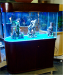 Lake View series, 75, 93, and 145 gallon U-shape room divider