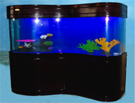 Ocean View Piano Aquariums