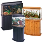 Bow Front Aquariums