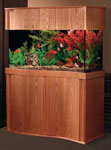 Perfecto 90 gallon surf aquarium