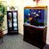 120 gallon Fresh Water Aquarium