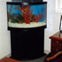 54 Corner Fresh Water Aquarium