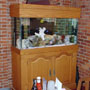 90 gallon salt water aquarium