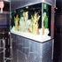 210 gallon aquarium 06