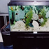 210 gallon aquarium 06