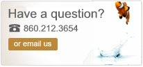 click here to get help