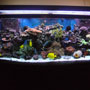 Aquarium