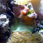 Aquarium