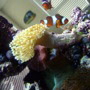 Aquarium
