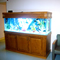 185 gallon Fresh Water Aquarium